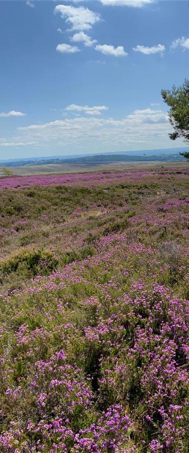 Floyter House North Yorkshire Moors National Park Bed & Breakfast Danby Exterior photo